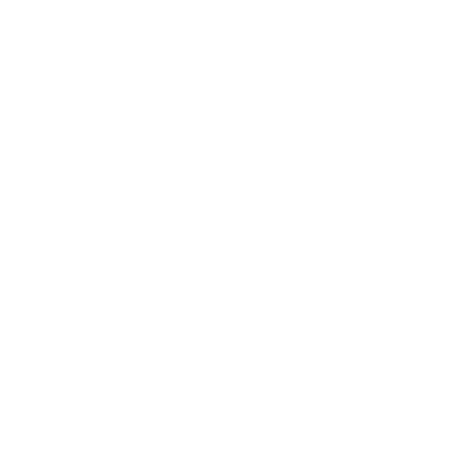 Dolar white icon