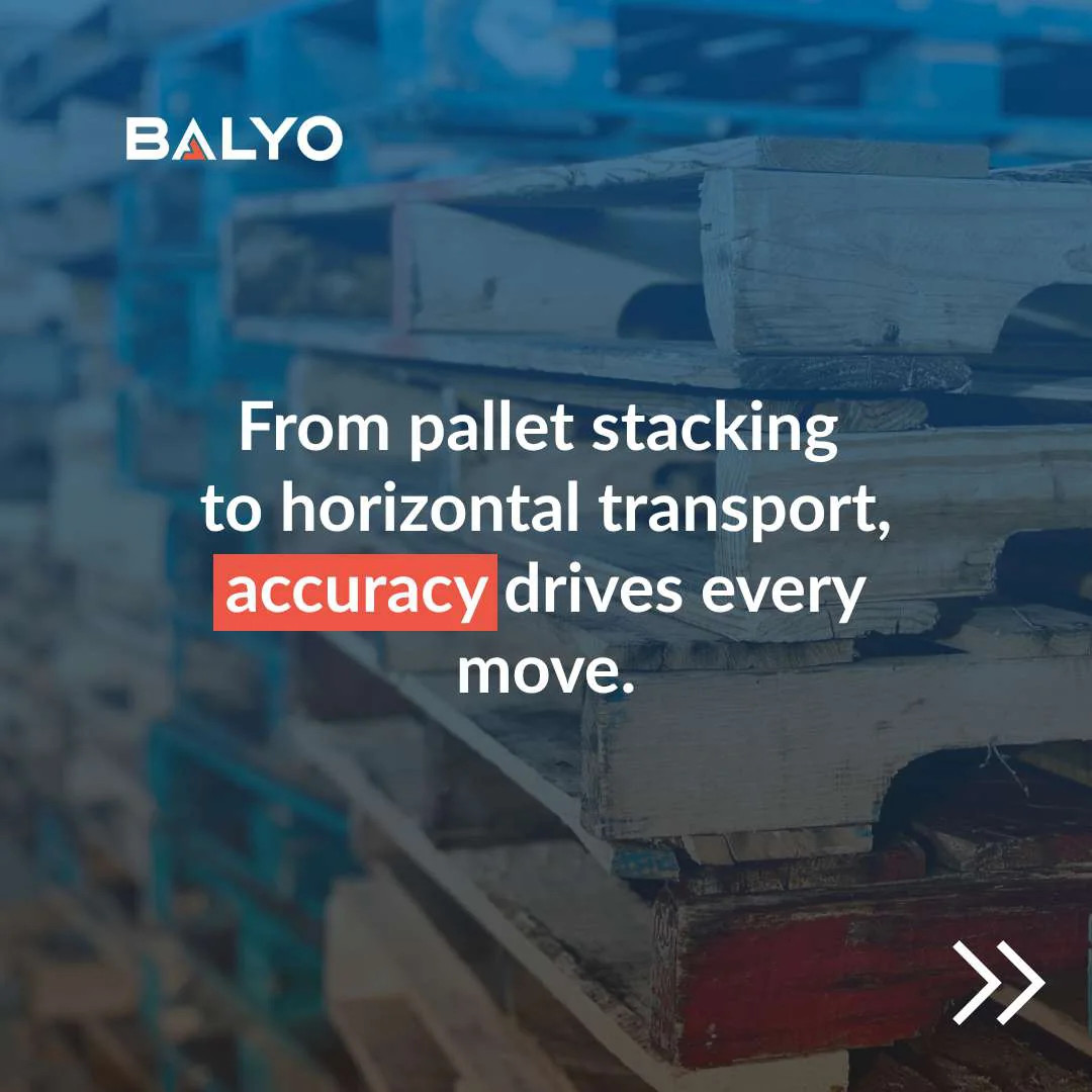 Slide 2 of 4: Balyo carousel